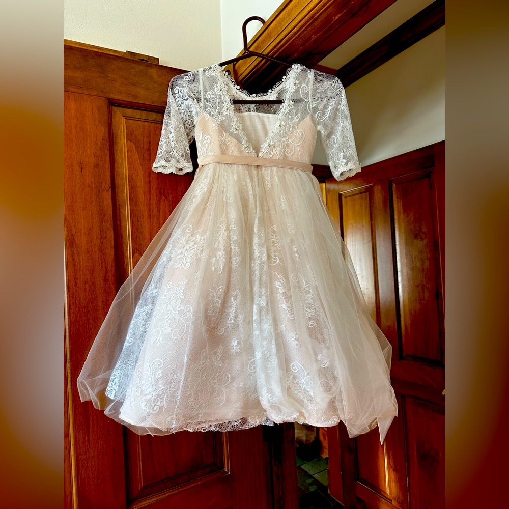 Princess Daliana Size 6 embroidered dress- perfect for flower girls